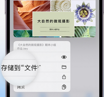 石拐apple维修中心分享iPhone文件应用中存储和找到下载文件