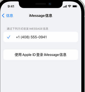 石拐apple维修iPhone上无法正常发送iMessage信息 