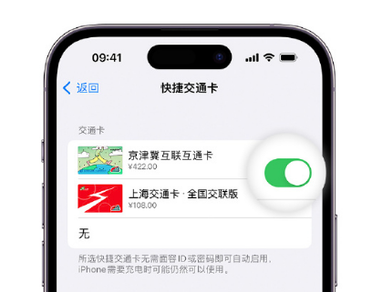 石拐apple维修点分享iPhone上更换Apple Pay快捷交通卡手绘卡面 