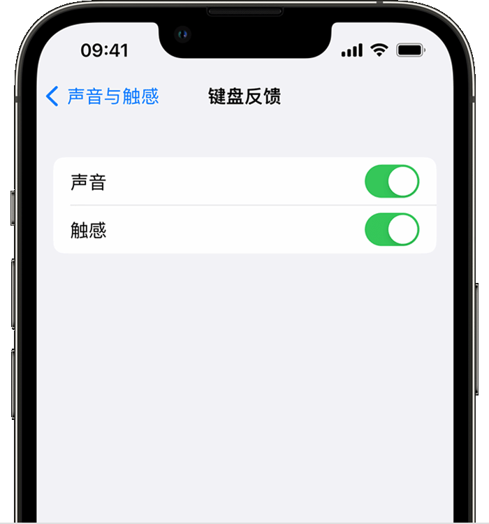 石拐苹果14维修店分享如何在 iPhone 14 机型中使用触感键盘 