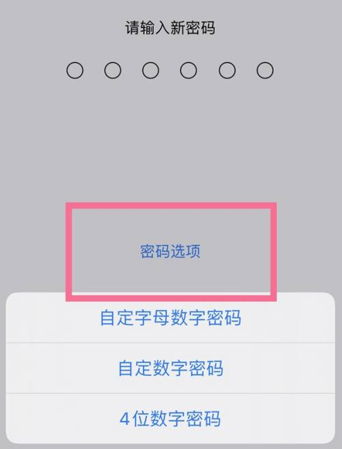 石拐苹果14维修分享iPhone 14plus设置密码的方法 