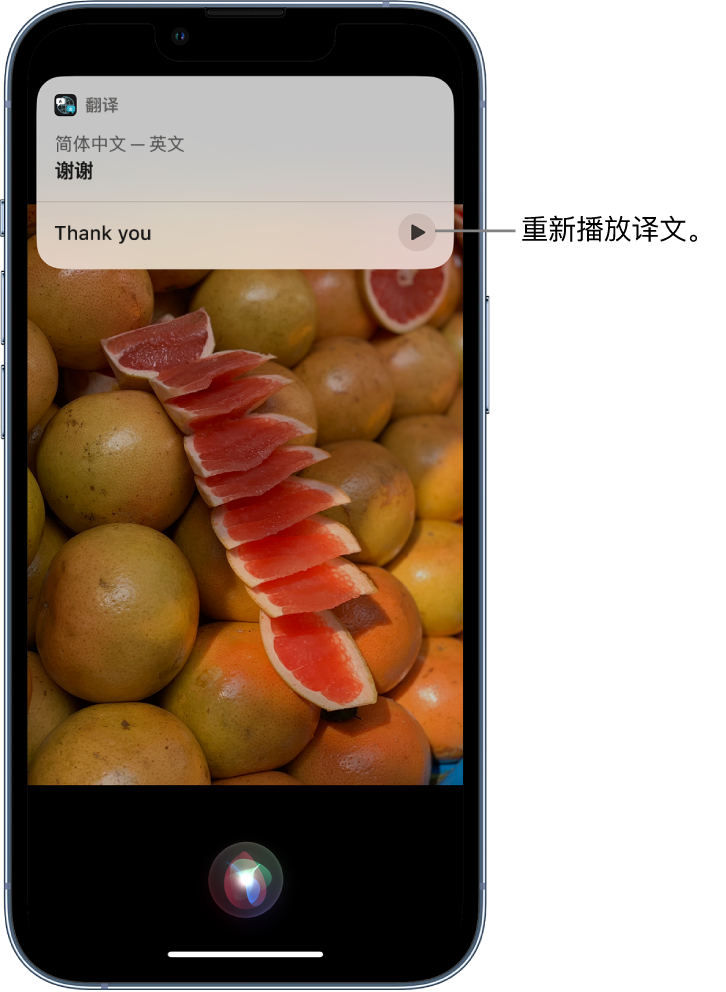 石拐苹果14维修分享 iPhone 14 机型中使用 Siri：了解 Siri 能帮你做什么 