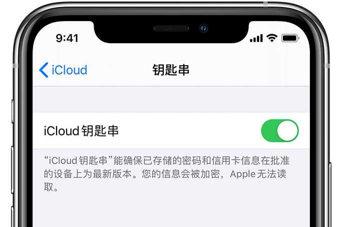 石拐苹果手机维修分享在 iPhone 上开启 iCloud 钥匙串之后会储存哪些信息 