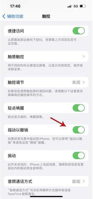 石拐苹果手机维修分享iPhone手机如何设置摇一摇删除文字 